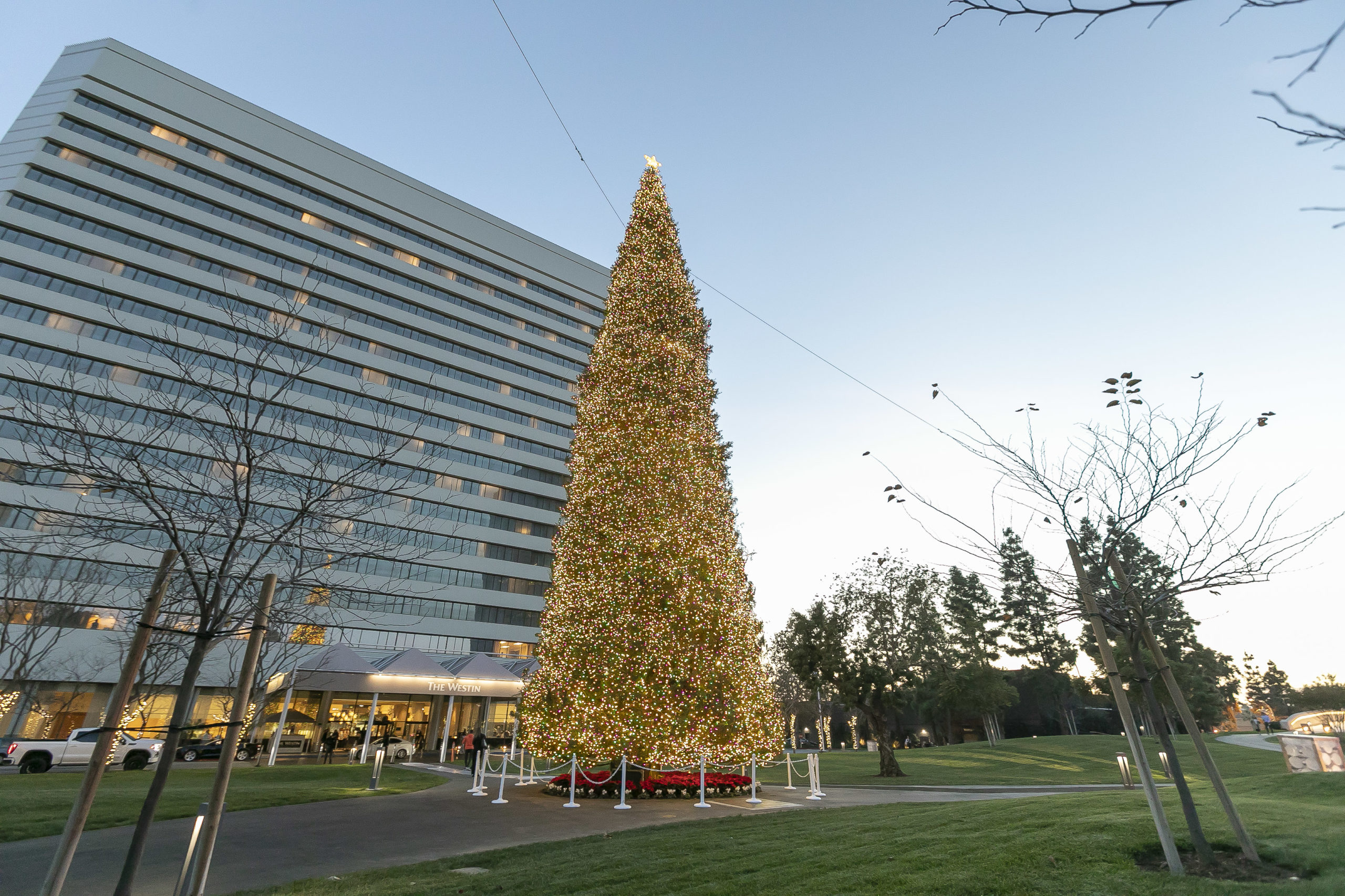 South Coast Plaza hopes to replace 96-foot Christmas tree