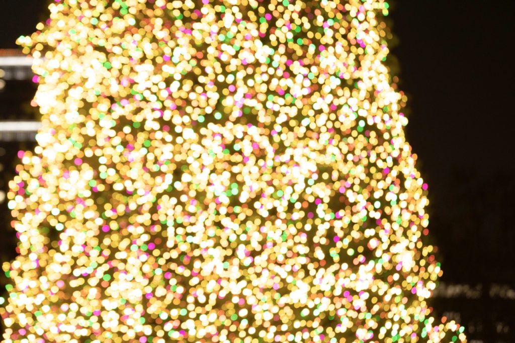 South Coast Plaza Christmas Tree 1, Vir